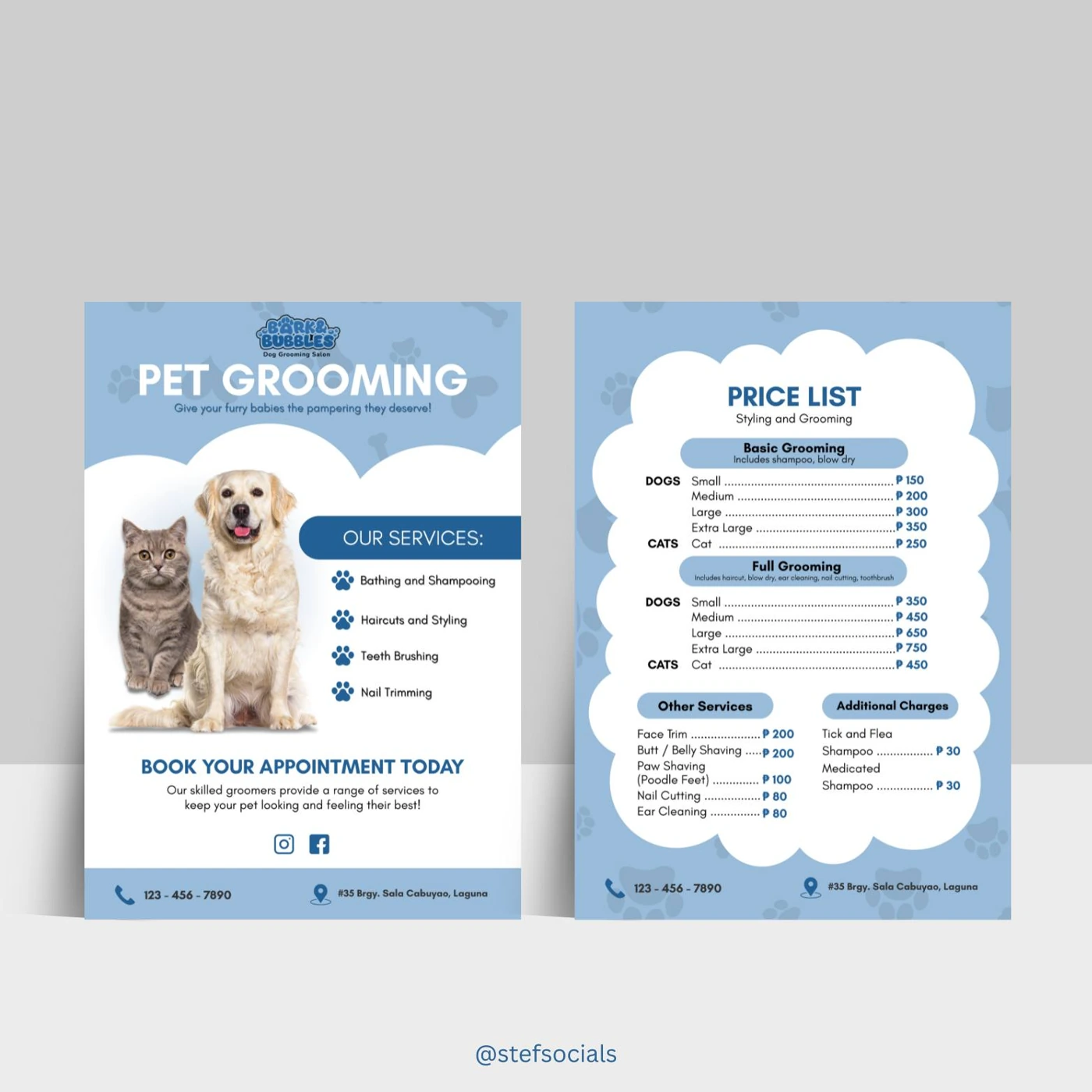 Coordinated blue pet-grooming flyer and price-list mockup